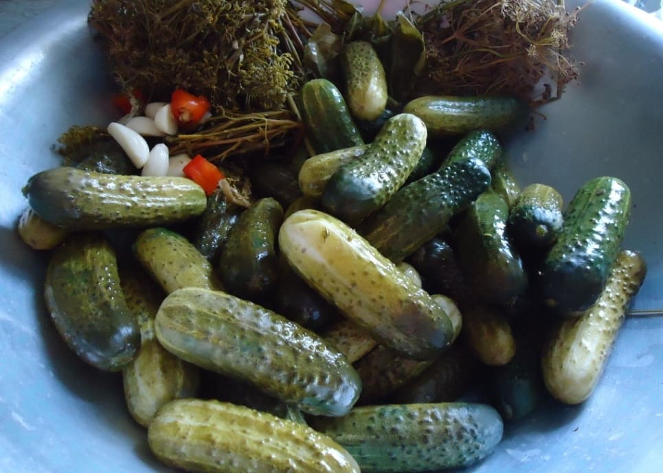 Малосольные огурцы